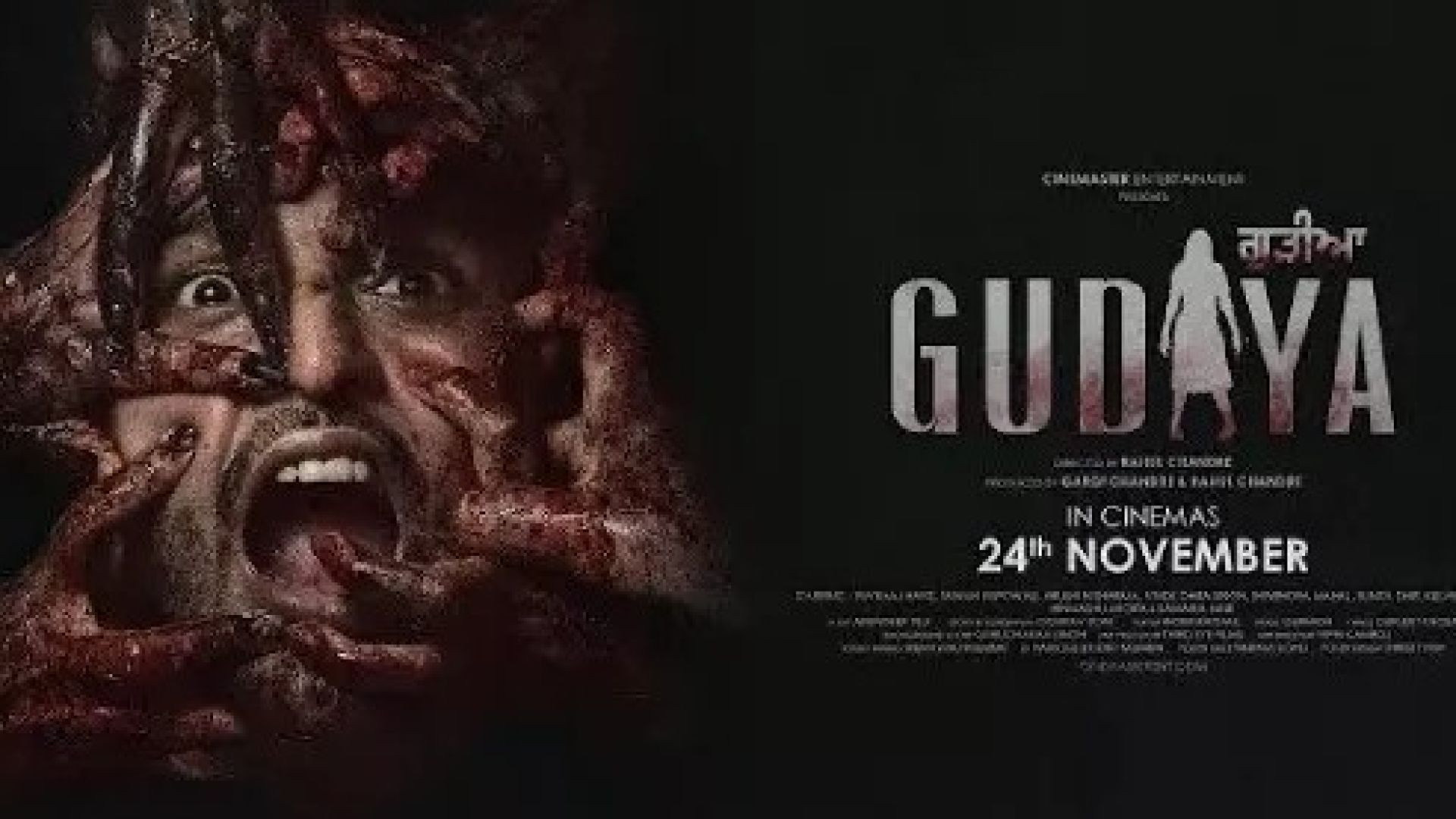 Gudiya (2023) Punjabi CHTV WEB-DL 480P